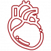 heart-circulation heart-circulation
